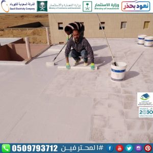 شركة المحترفين عزل اسطح