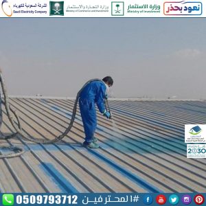 شركة عزل اسطح بسكاكا